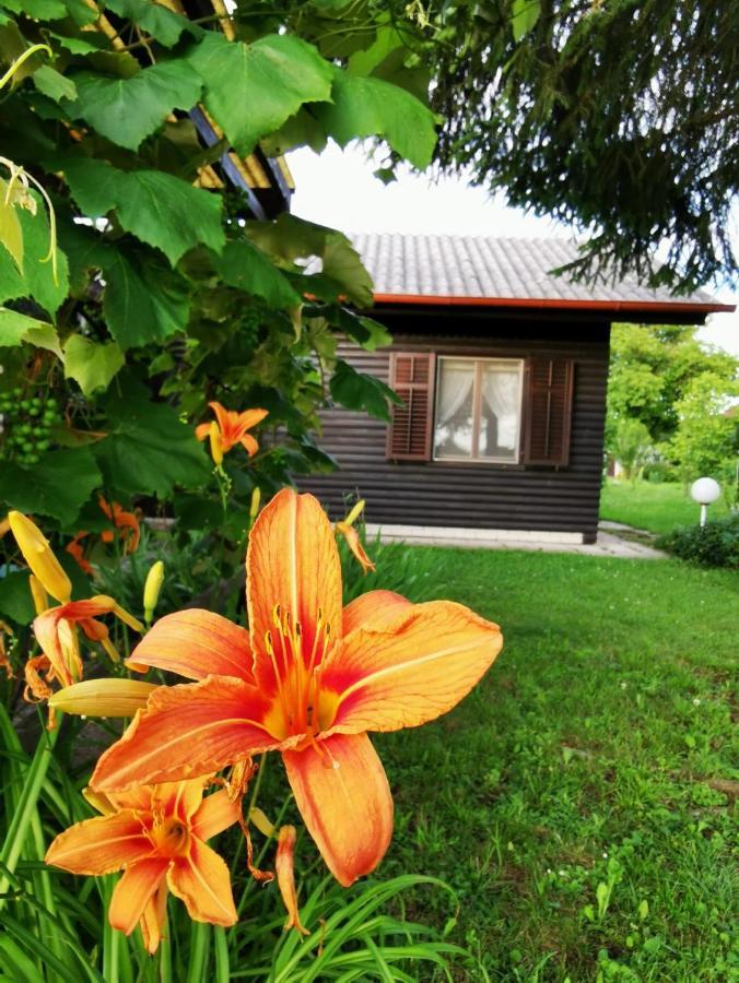 Merikotka - A Cozy Wooden Cottage, Slovenia Braslovce 外观 照片