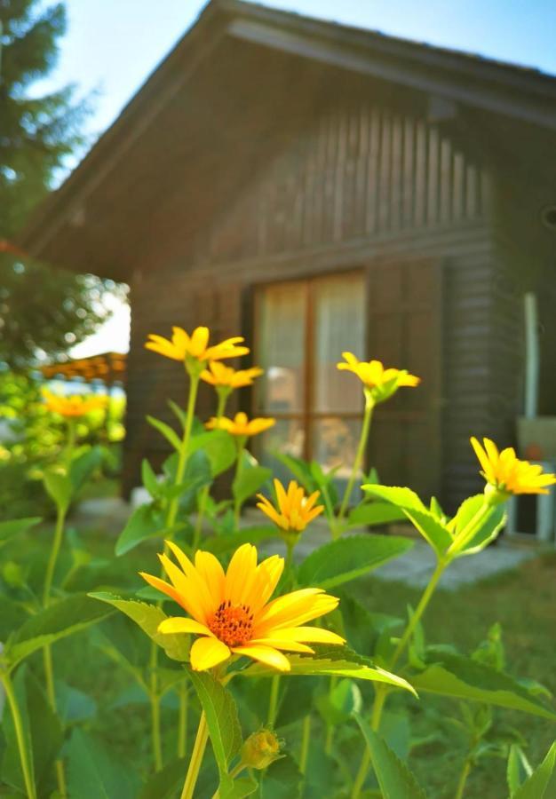 Merikotka - A Cozy Wooden Cottage, Slovenia Braslovce 外观 照片