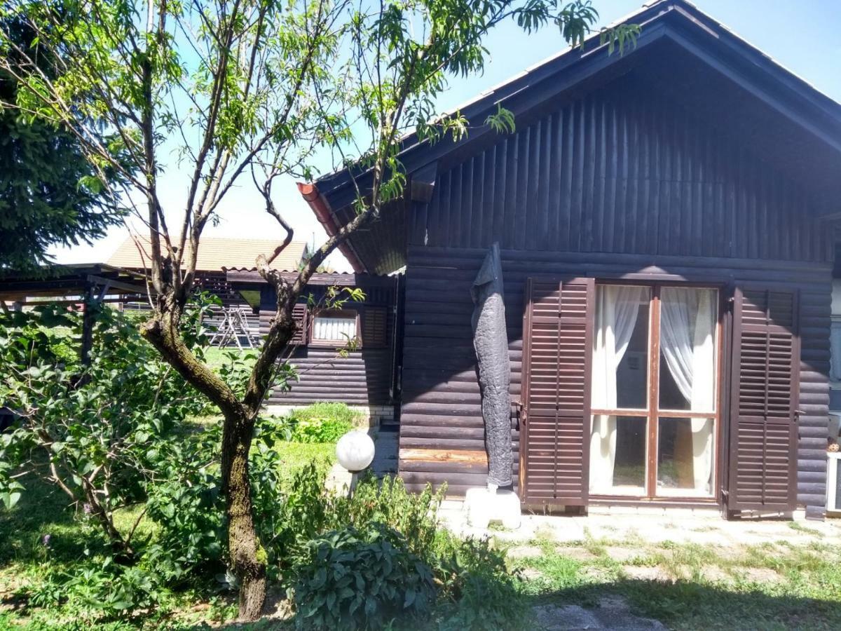 Merikotka - A Cozy Wooden Cottage, Slovenia Braslovce 外观 照片