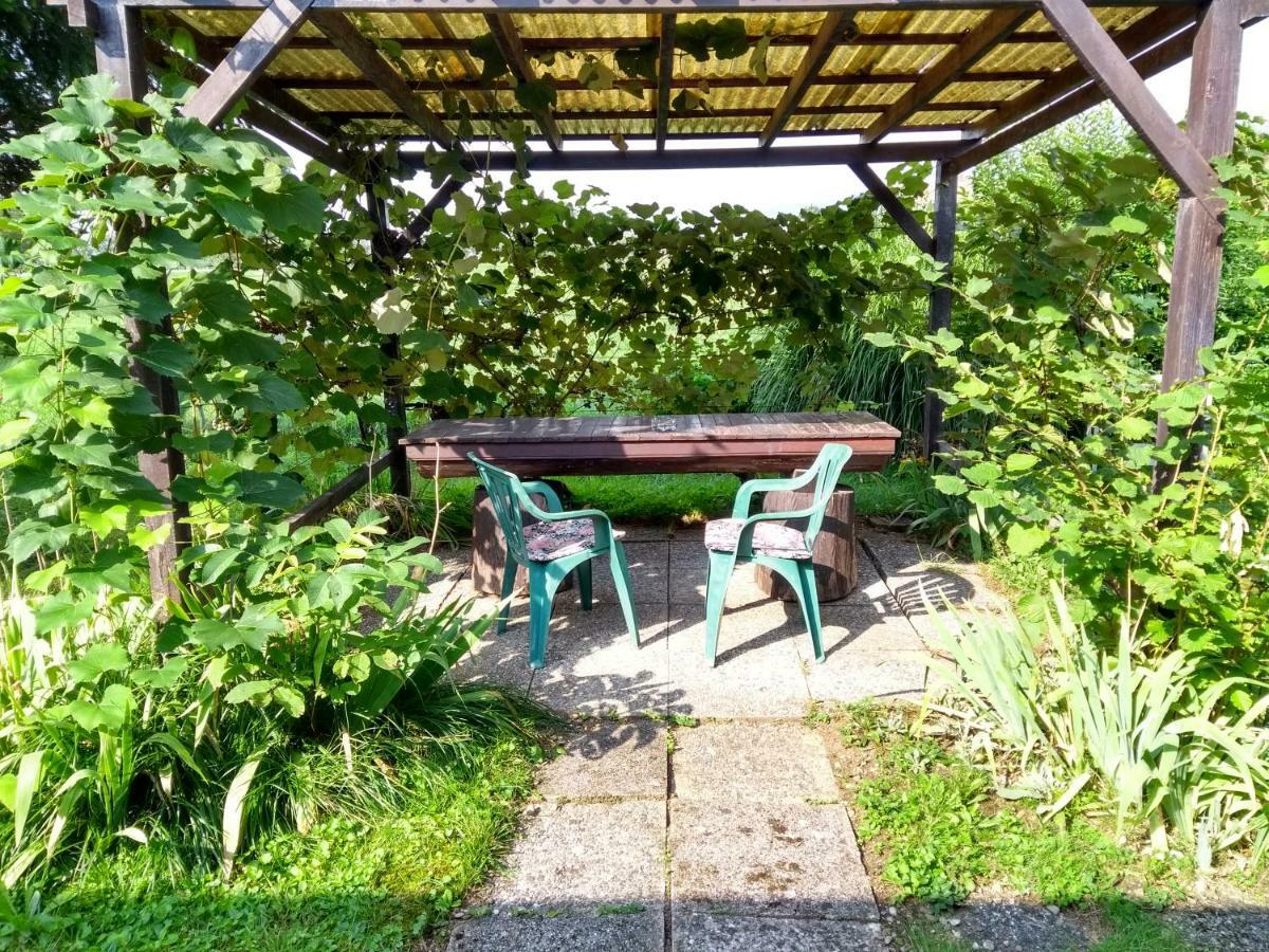 Merikotka - A Cozy Wooden Cottage, Slovenia Braslovce 外观 照片