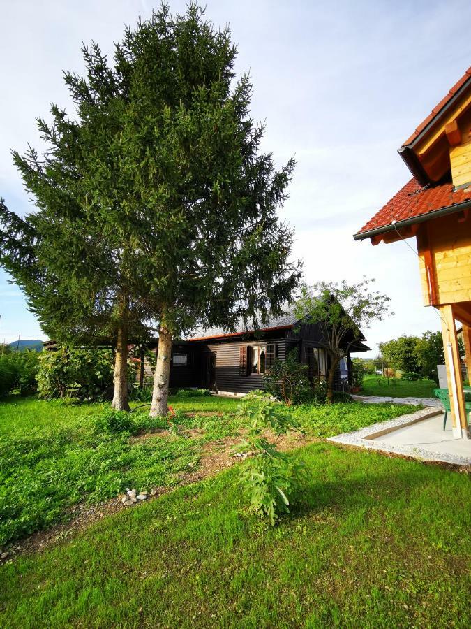 Merikotka - A Cozy Wooden Cottage, Slovenia Braslovce 外观 照片