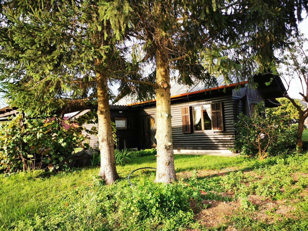 Merikotka - A Cozy Wooden Cottage, Slovenia Braslovce 外观 照片